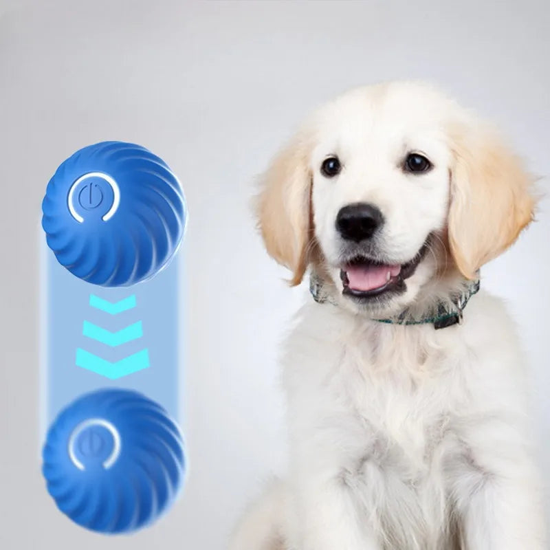 Automatic Interactive Dog Toy Ball – Rechargeable & Engaging Play