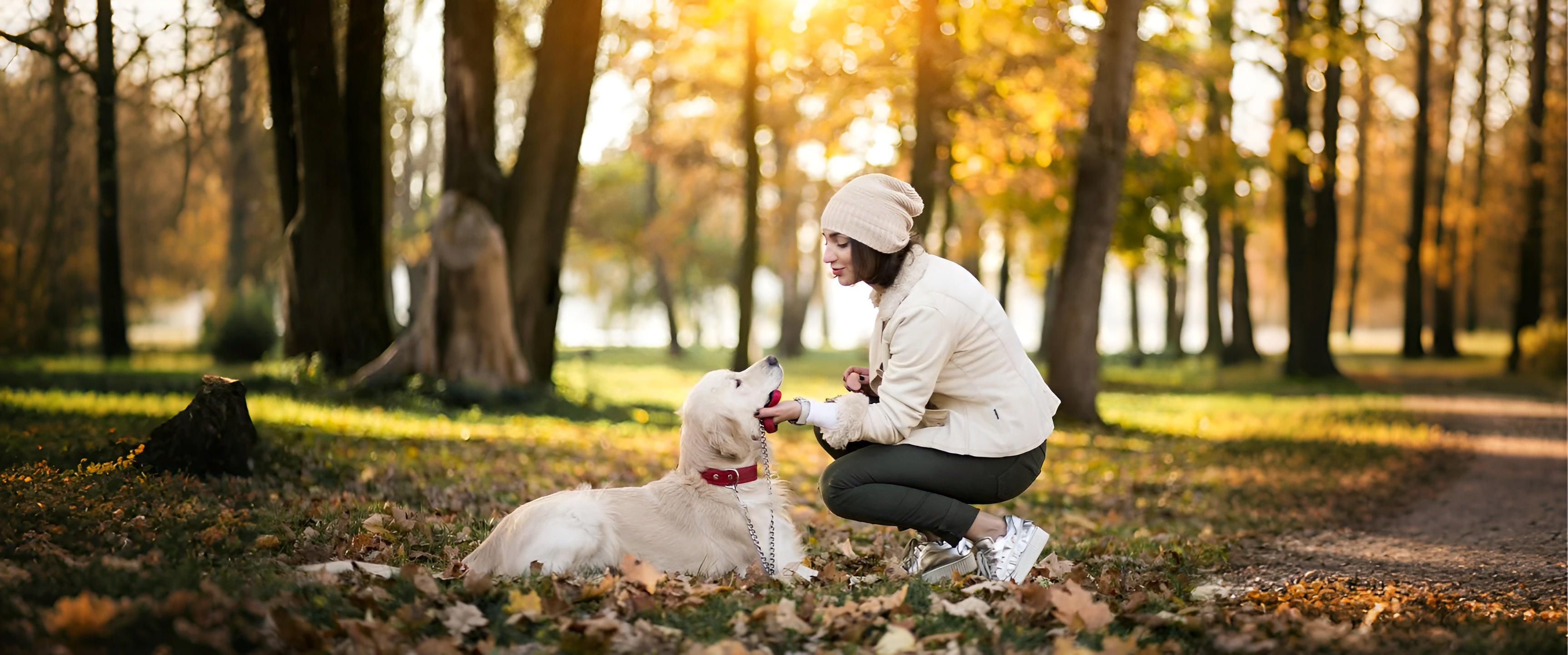 slider image slider_item_78feH4